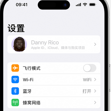 双柏appleID维修服务iPhone设置中Apple ID显示为灰色无法使用