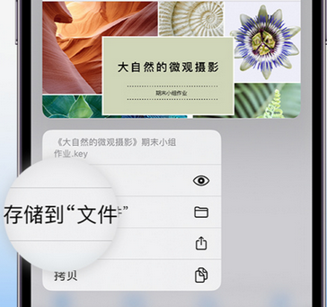 双柏apple维修中心分享iPhone文件应用中存储和找到下载文件