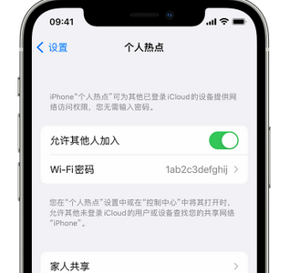 双柏apple服务站点分享iPhone上个人热点丢失了怎么办 