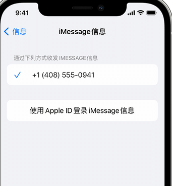 双柏apple维修iPhone上无法正常发送iMessage信息 