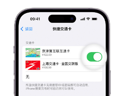 双柏apple维修点分享iPhone上更换Apple Pay快捷交通卡手绘卡面 