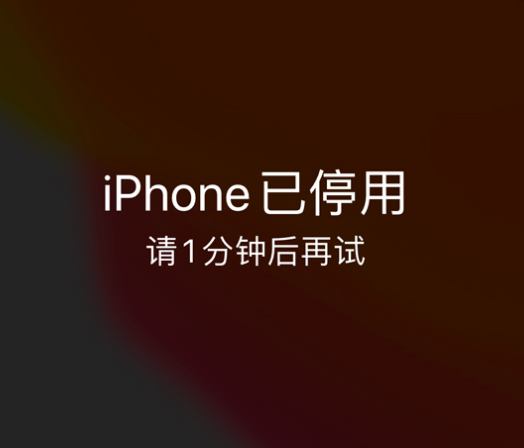 双柏苹果手机维修分享:iPhone 显示“不可用”或“已停用”怎么办？还能保留数据吗？ 