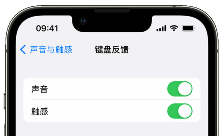 双柏苹果手机维修分享iPhone 14触感键盘使用方法 