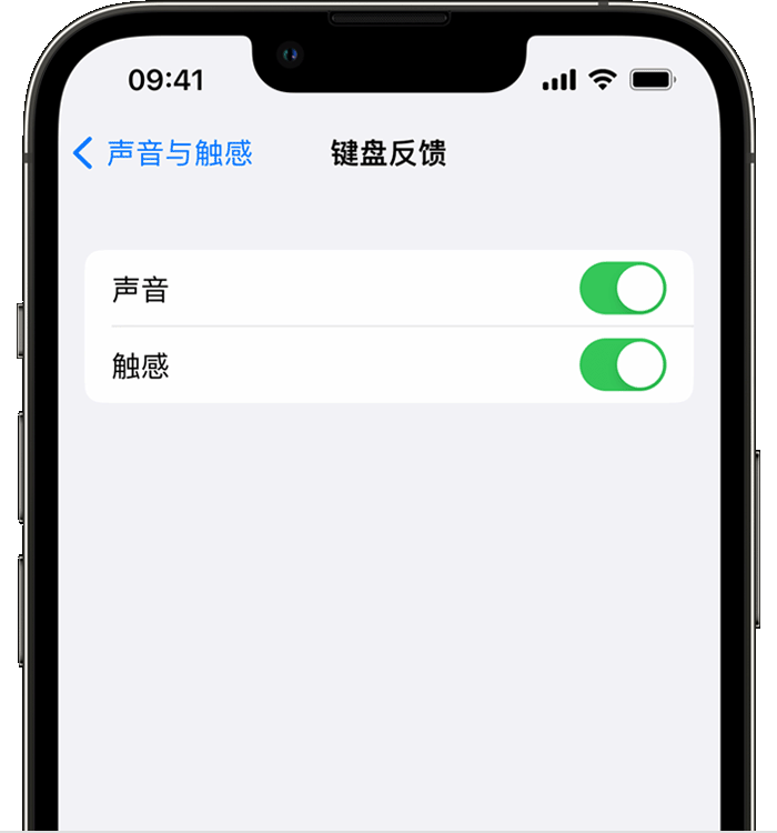 双柏苹果14维修店分享如何在 iPhone 14 机型中使用触感键盘 