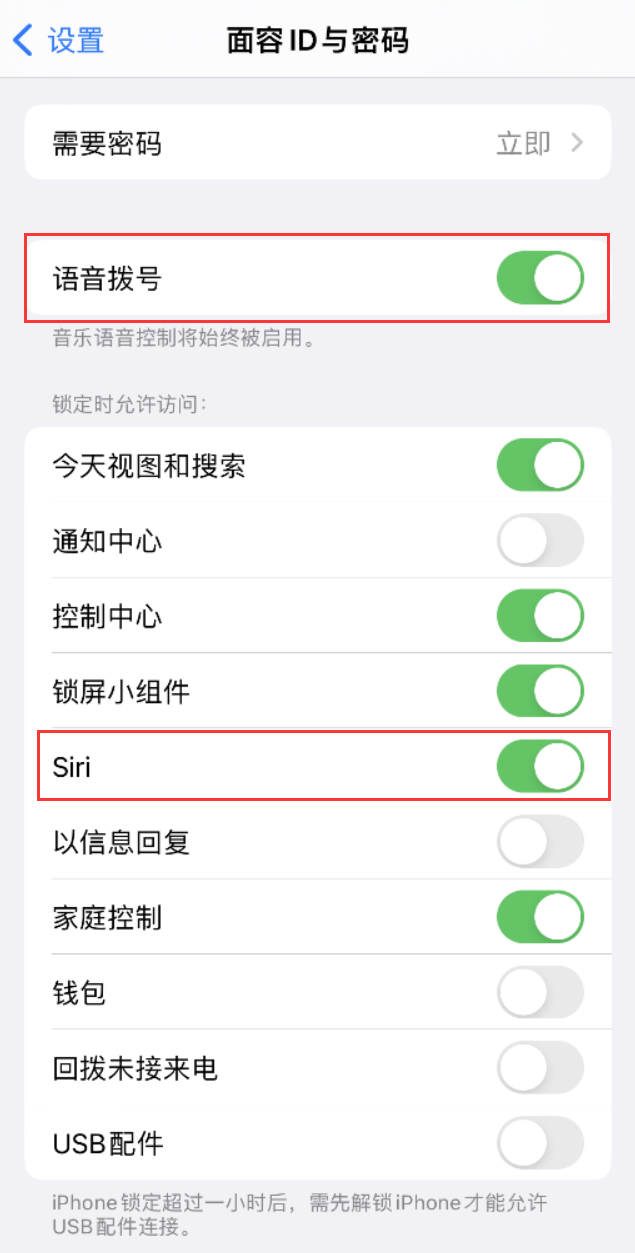 双柏苹果维修网点分享不解锁 iPhone 的情况下通过 Siri 拨打电话的方法 