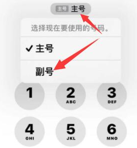 双柏苹果14维修店分享iPhone 14 Pro Max使用副卡打电话的方法 