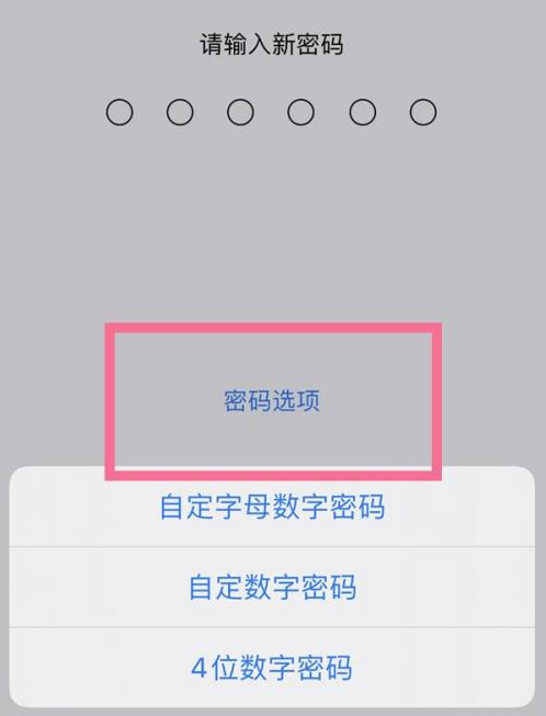 双柏苹果14维修分享iPhone 14plus设置密码的方法 