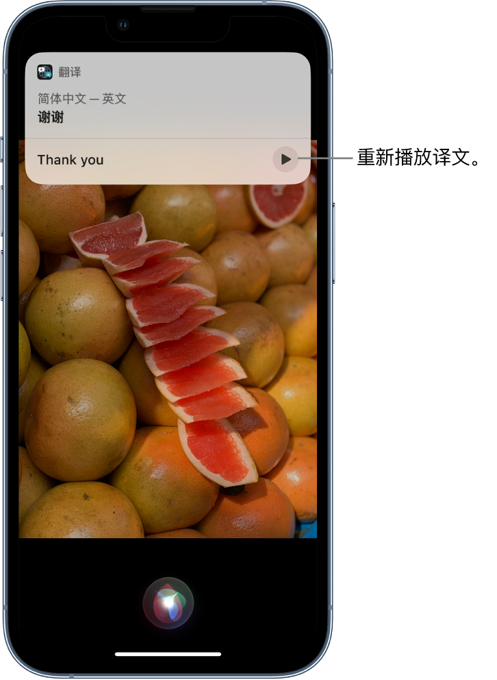 双柏苹果14维修分享 iPhone 14 机型中使用 Siri：了解 Siri 能帮你做什么 