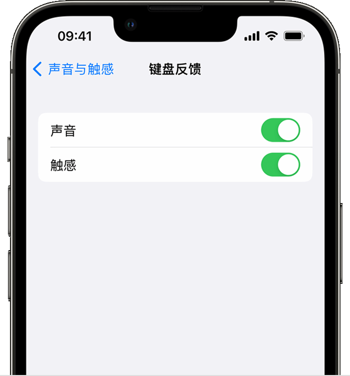 双柏苹果14维修分享iPhone 14 系列机型如何开启键盘声音或触感反馈 