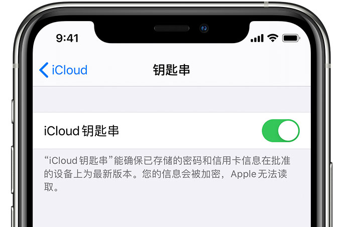 双柏苹果手机维修分享在 iPhone 上开启 iCloud 钥匙串之后会储存哪些信息 