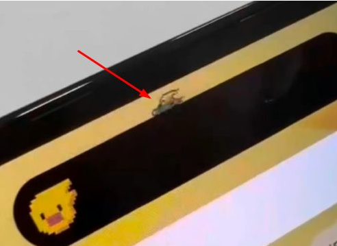 双柏苹果14维修分享iPhone 14 Pro Max灵动岛怎么养宠物 