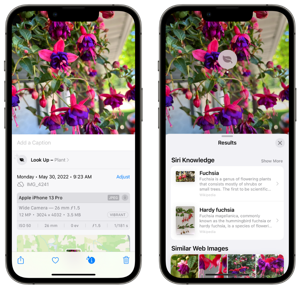 双柏苹果手机维修分享小技巧：使用 iPhone 相机识别花卉植物 