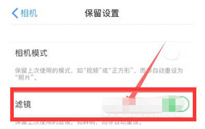 双柏苹果13维修分享iPhone13拍照有绿点是怎么回事 